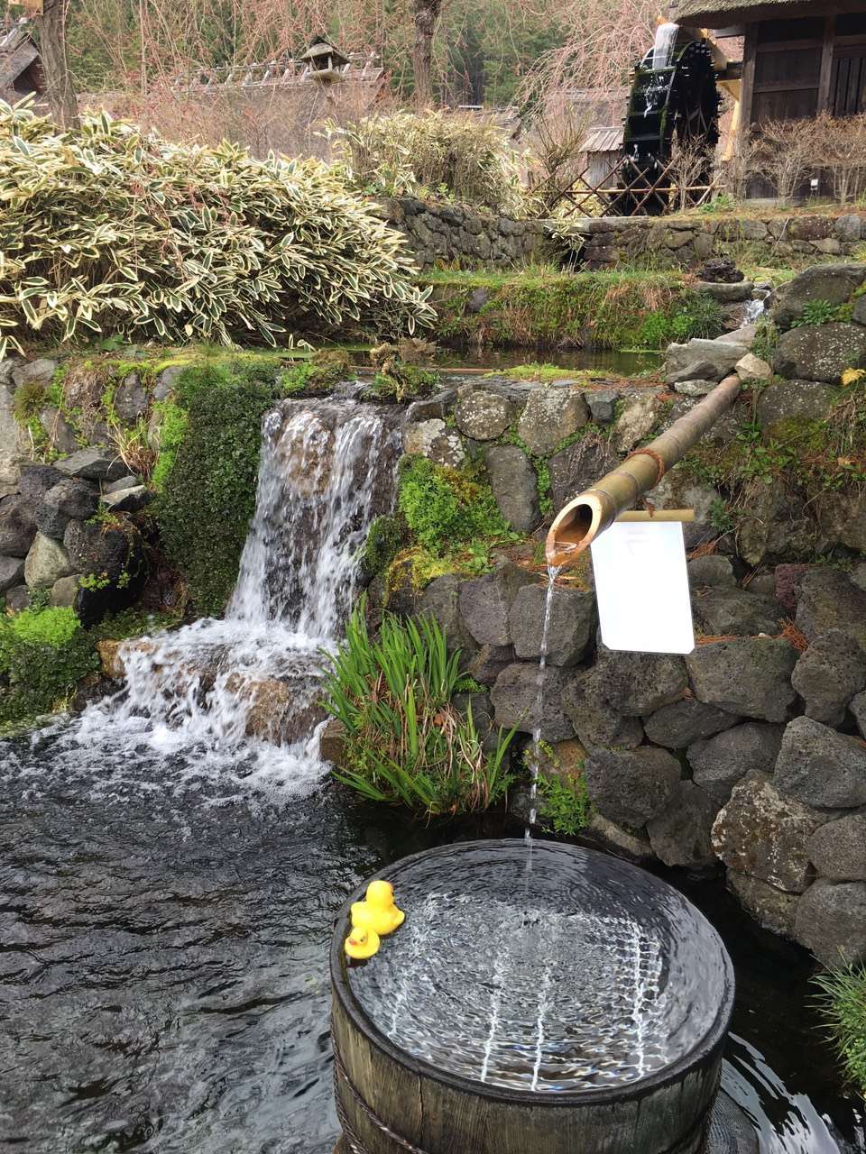 西湖いやしの里根場
