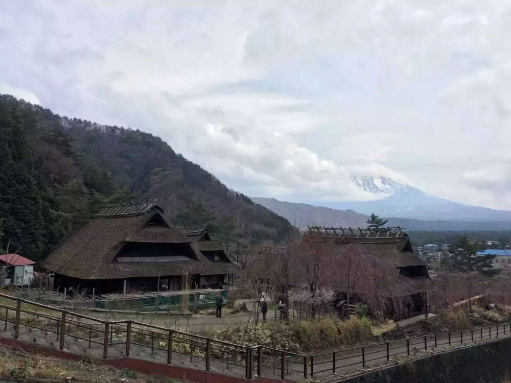 西湖いやしの里根場
