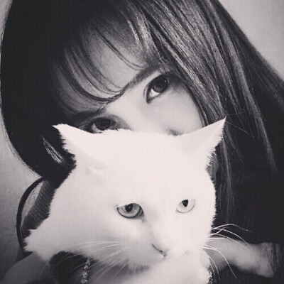爱猫 黑白 女头