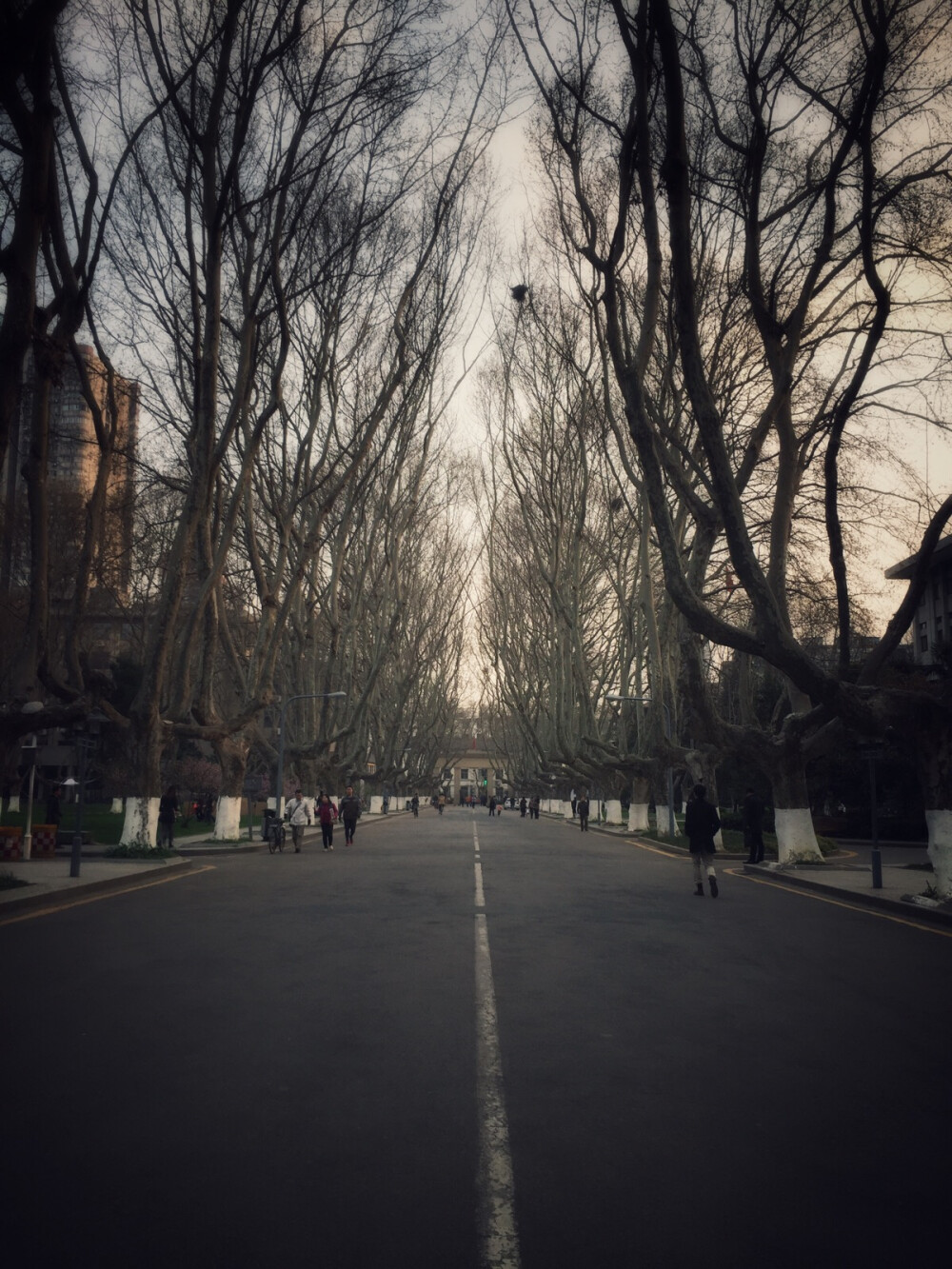 东南大学.