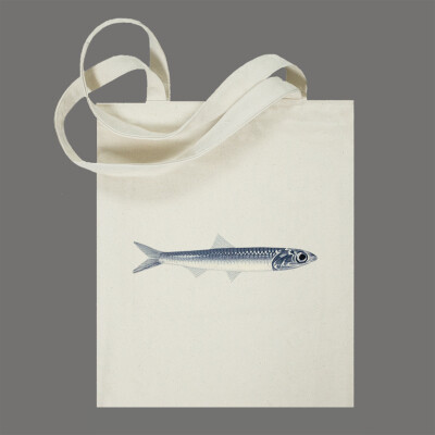义物社工 火箭鱼 极简印制帆布包袋 复古原创棉布袋购物袋环保袋