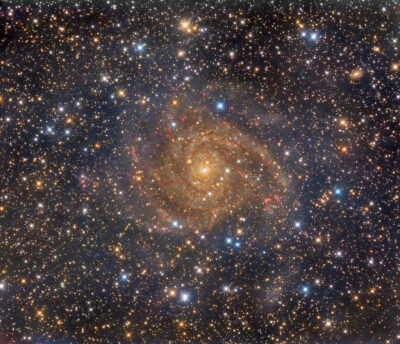 隐密星系IC 342 位于北天鹿豹座内，距离我们仅为1000万光年 NASA