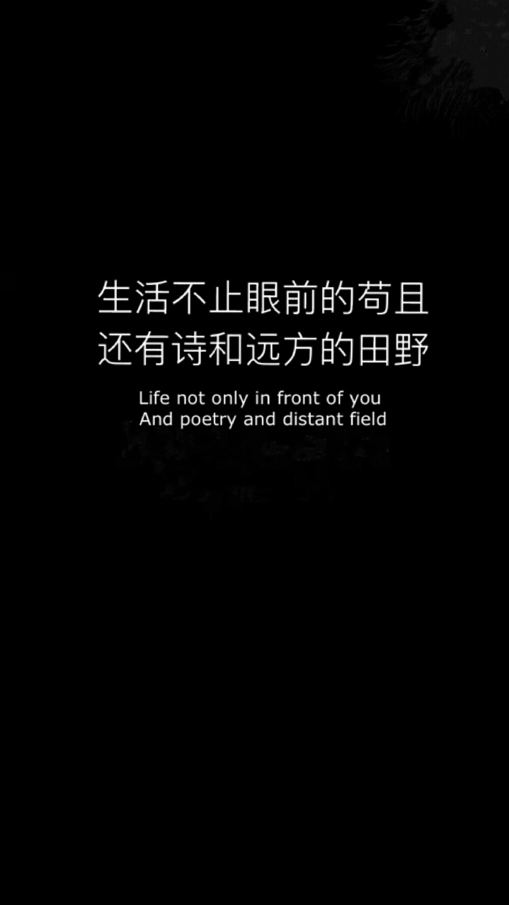 原创喜欢请点赞黑色文字简单英文主屏壁纸锁屏壁纸朋友圈封面输入法
