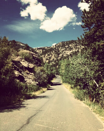 hill path in rocky mountain natinal park