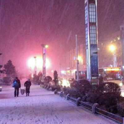 风霜雨雪