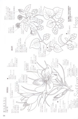 温馨的刺绣教程
