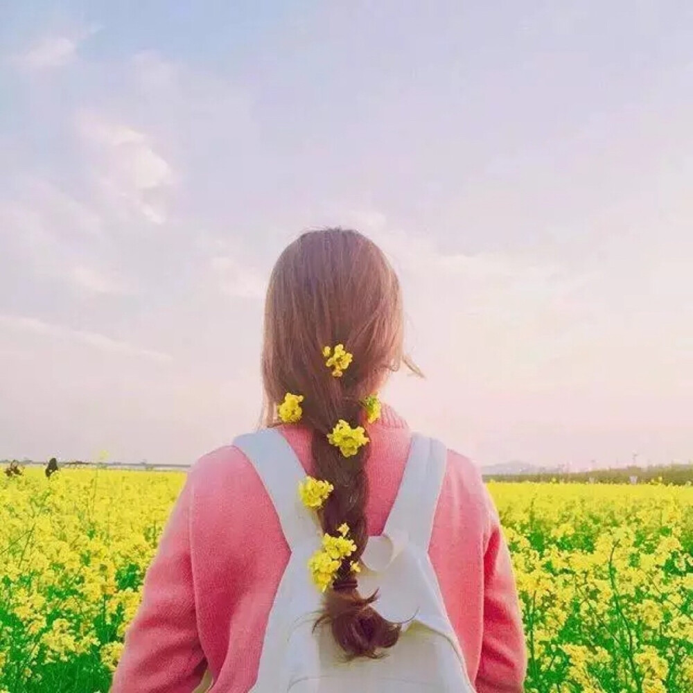 壁纸 头像 键盘 背景 女生 女孩 头像 唯美 天空 草原