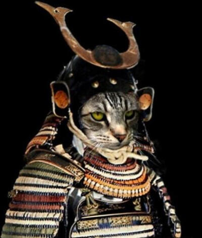 浮世绘 猫 猫咪 喵喵 喵星人 手绘 和风 日本 东瀛 个性的喵星人 猫和武士 武士喵 萌宠 摄影 个性