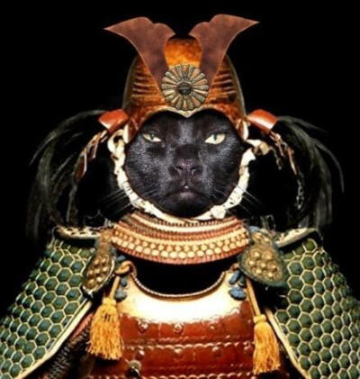 浮世绘 猫 猫咪 喵喵 喵星人 手绘 和风 日本 东瀛 个性的喵星人 猫和武士 武士喵 萌宠 摄影 个性