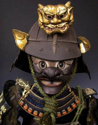 浮世绘 猫 猫咪 喵喵 喵星人 手绘 和风 日本 东瀛 个性的喵星人 猫和武士 武士喵 萌宠 摄影 个性