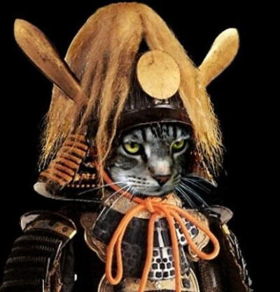 浮世绘 猫 猫咪 喵喵 喵星人 手绘 和风 日本 东瀛 个性的喵星人 猫和武士 武士喵 萌宠 摄影 个性
