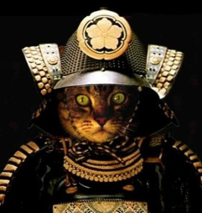 浮世绘 猫 猫咪 喵喵 喵星人 手绘 和风 日本 东瀛 个性的喵星人 猫和武士 武士喵 萌宠 摄影 个性