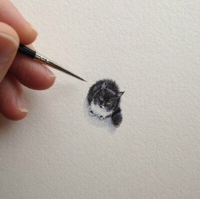彩铅猫 | 美国插画师 Brooke Rothshank