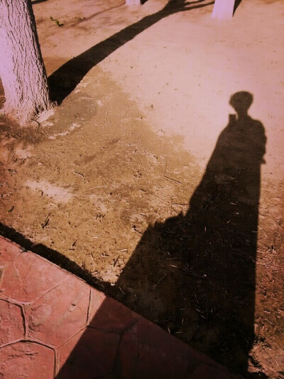 shadow