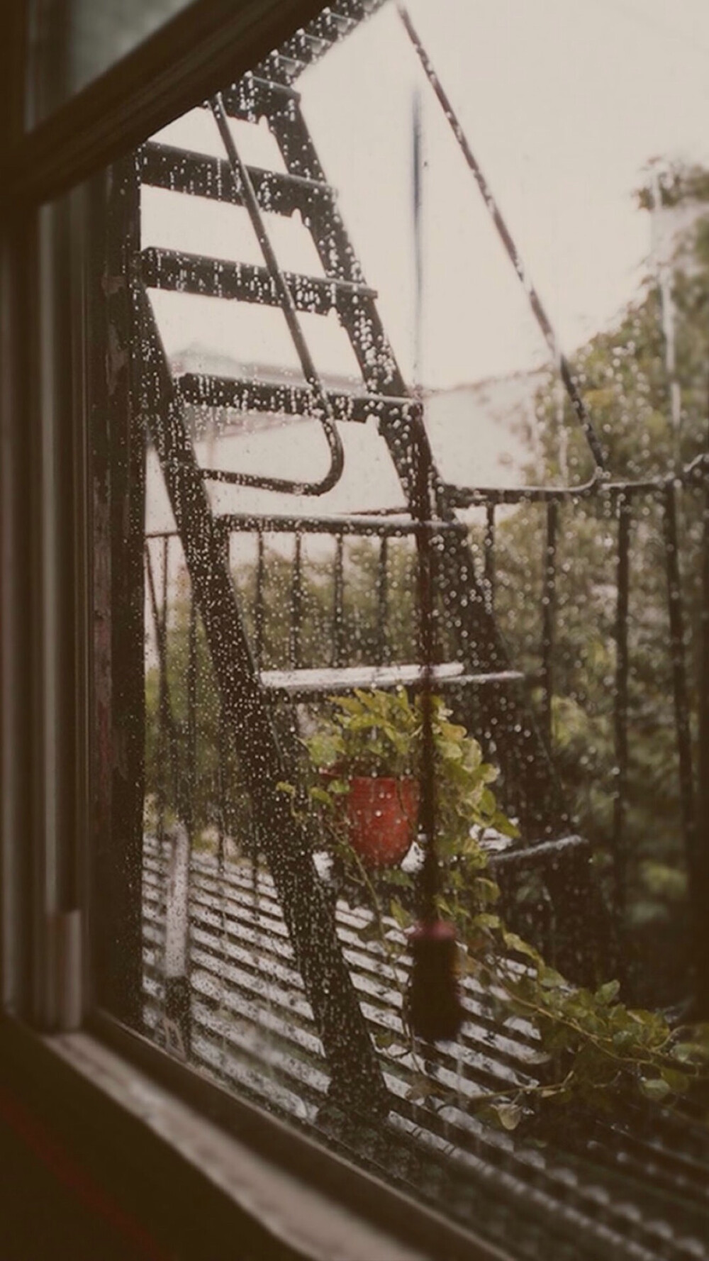 雨天- 堆糖,美图壁纸兴趣社区