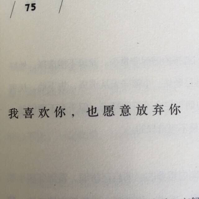 孤独时代 ☼ 文字集