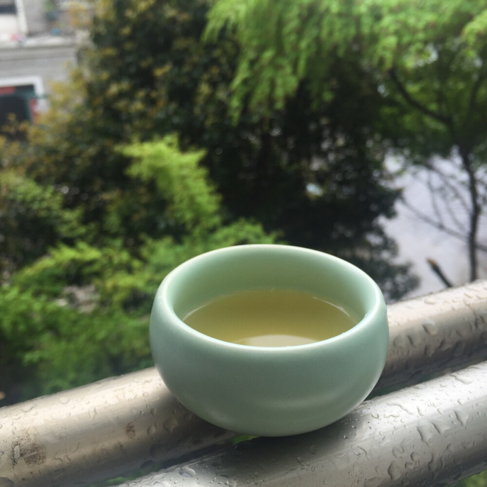 雨中禅意杯