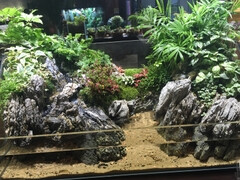 大型鱼缸水陆植物流水招财景观 高档礼品 JAZZCAFE