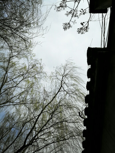  Time in Pingjiang.