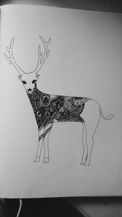 Deer