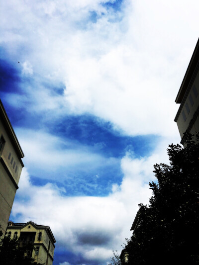 考试之前疲倦到不行时抬头看到蓝得震撼的天空