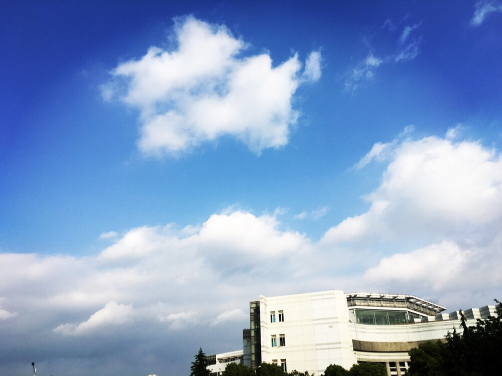 中南财经政法大学，好像不止是我修双学位的地方