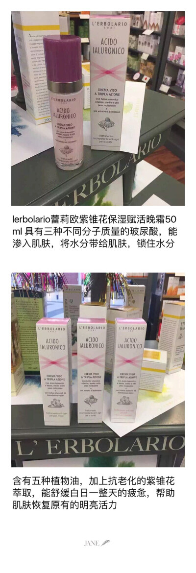 蕾莉欧紫锥花保湿赋活晚霜50ml 含有三种不同分子质量的玻尿酸 能控水缩水并抗老舒缓