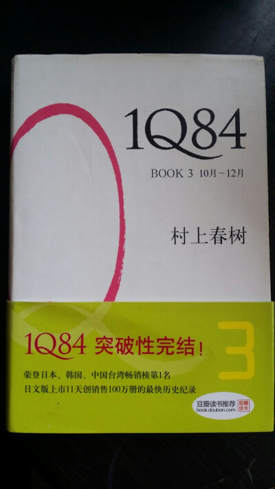 很喜欢写这本书的视角。。。翻译没有晕也是强悍