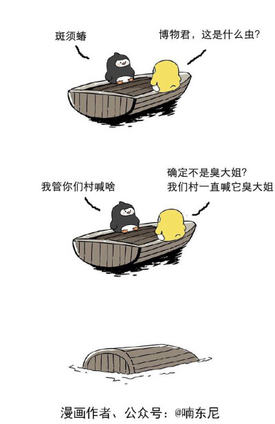 博物君的日常翻船纪录