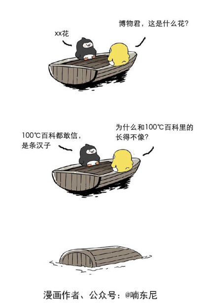 博物君的日常翻船纪录