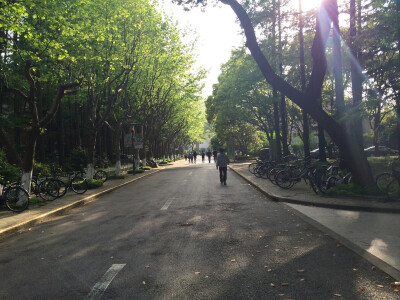 复旦大学