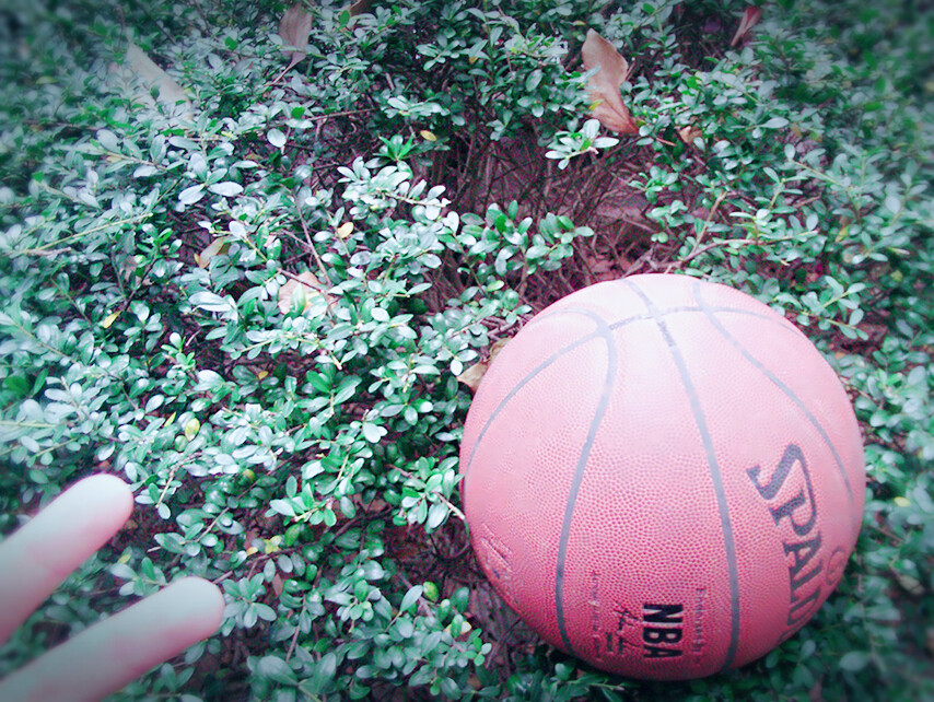 风景 篮球 唯美景色