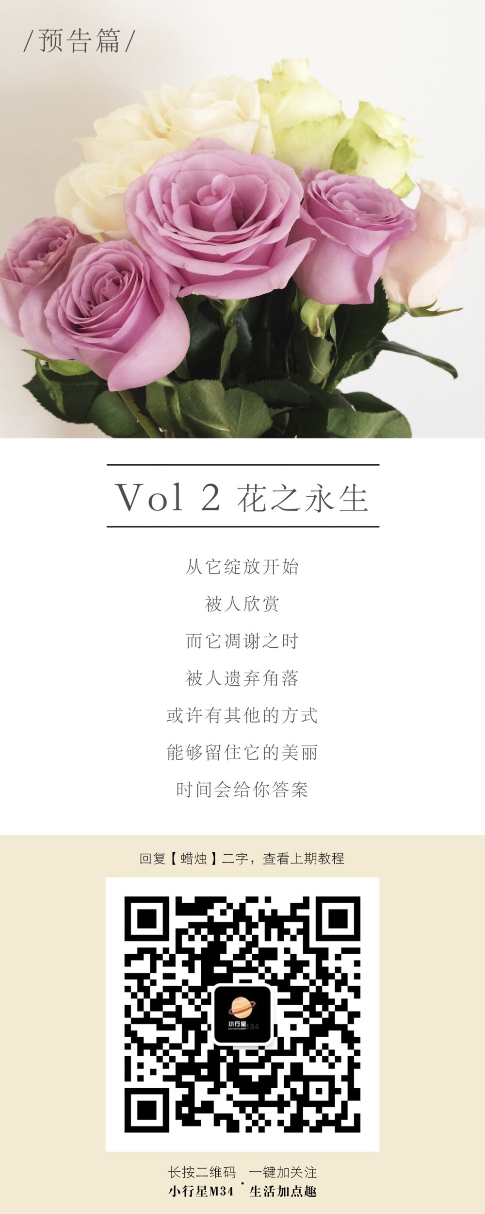 花之永生—我们可以留住花的美丽。