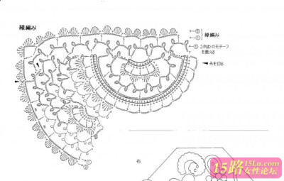 爱尔兰风格半袖.短袖叶与花