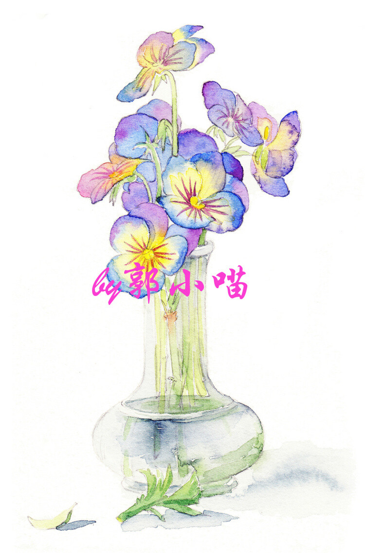 8张清晰水彩花卉-小喵小姐_水彩,插画,植物,花卉,手绘_涂鸦王国插画