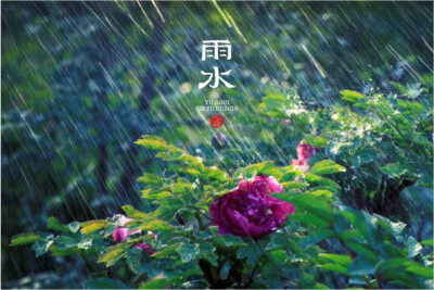 雨水-二十四节气-余尤勇