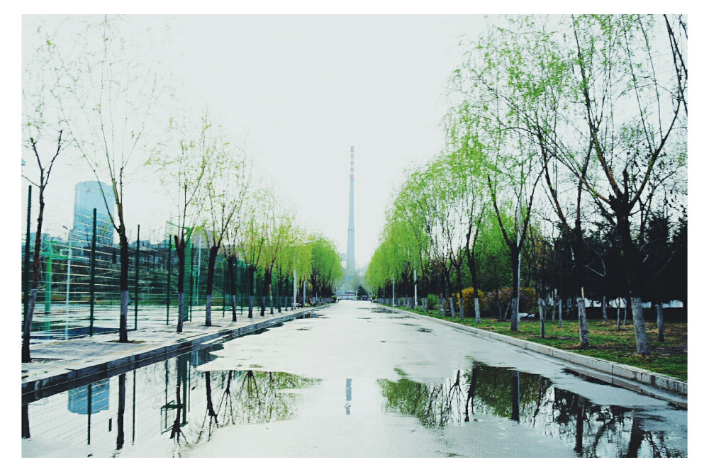 十八日，电闪雷鸣的太阳雨。雨滴滴答答下着，太阳的光柔和照耀着。看到蓝色就蹦跶蹦跶出去玩耍啦，变成孙悟空，哼哼哈嘿上天入地。到处到处都美美美极了，我就知道今天会是不可思议的一天。
