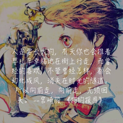  宫崎骏动画经典语录 文字 猫的报恩