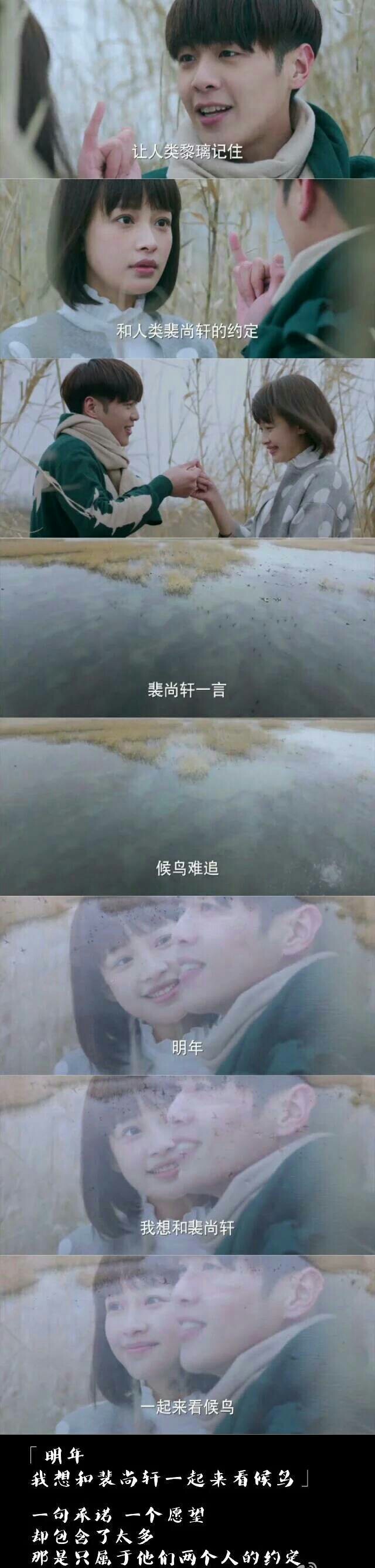 十五年等待候鸟张若昀孙怡邓伦张雪迎