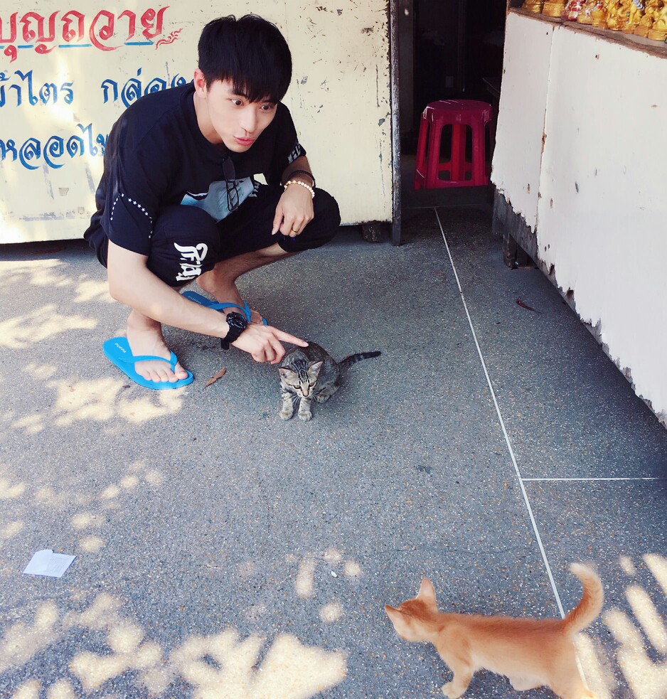 逗猫的洲洲可爱出新高度(*¯︶¯*)
喵喵不要吵架啦~
图源 @鱼粥小甜豆