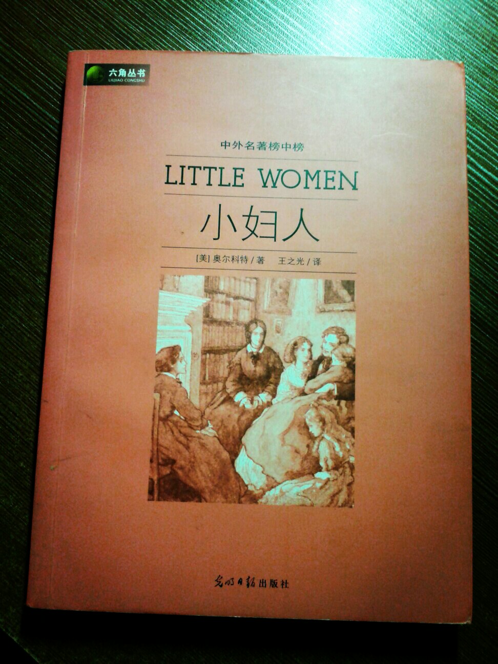 《小妇人》好久之前买的，看过好多遍了。内容是关于一个破产家庭的四个女儿之间的故事，当时的美国南北战争妨碍了正常的经济活动，女主人公们不得不打工贴补家用，而她们在困窘的生活中却仍能保持乐观的心态，热爱生活，不放弃自己的梦想，值得每个女孩一读。推荐指数：★★★★★