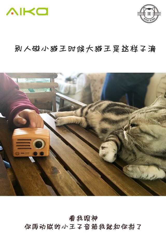 听，海哭的声音