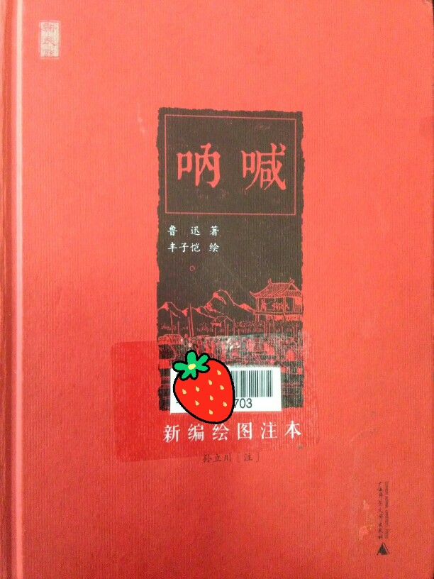 《呐喊》鲁迅著，重温经典～