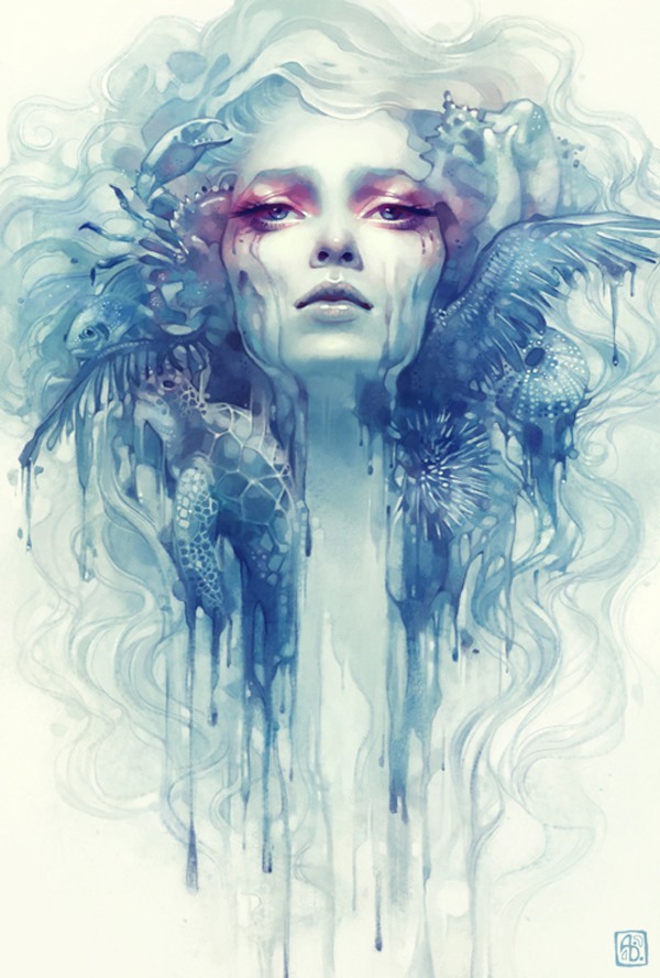 escume (Anna Dittmann) 唯美人物肖像动物插画翅膀插画梦幻插画