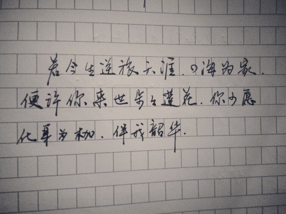 美字美句