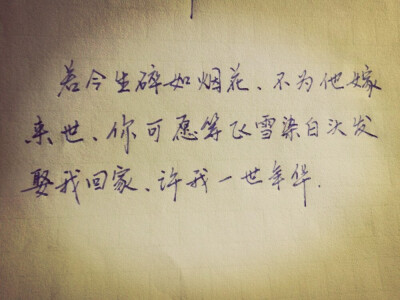 美字美句