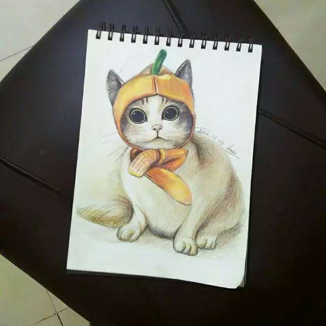 彩铅戴帽子的小猫 手绘 铅笔 彩铅 彩色 可爱 插画 艺术 萌物 宠物