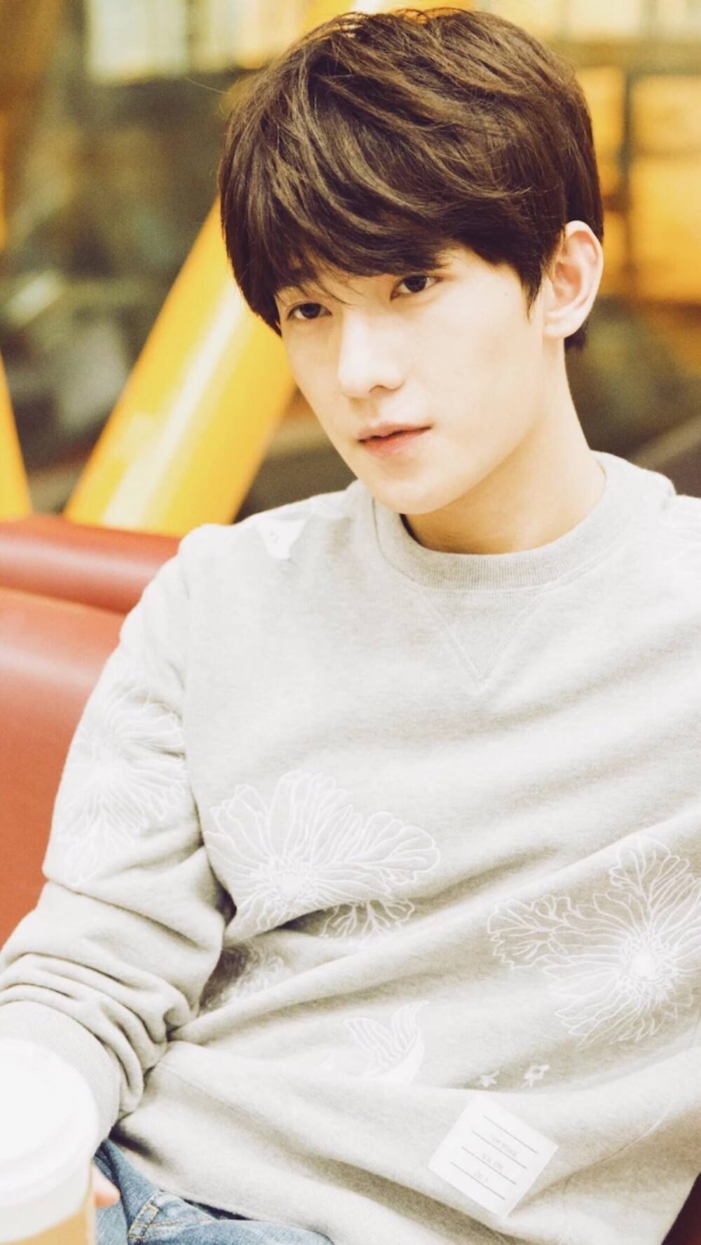 杨洋