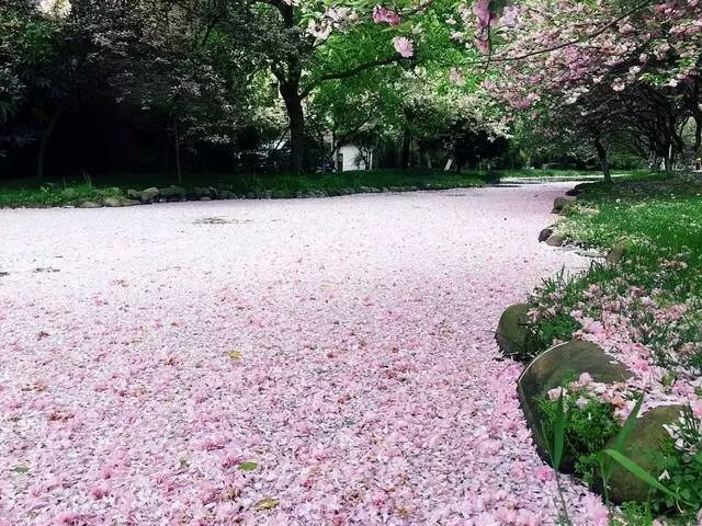 北京一住宅区