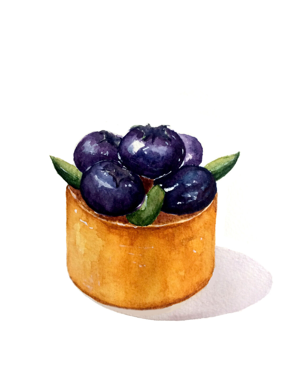 【小美食】甜品 蓝莓蛋糕 手绘 水彩 水彩美食 蓝莓